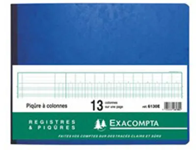 Registre piqûre exacompta colonnes 320x250mm 31 lignes 13 colonnes/page 80 pages
