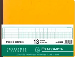 Registre piqûre exacompta colonnes 320x250mm 31 lignes 13 colonnes/page 80 pages