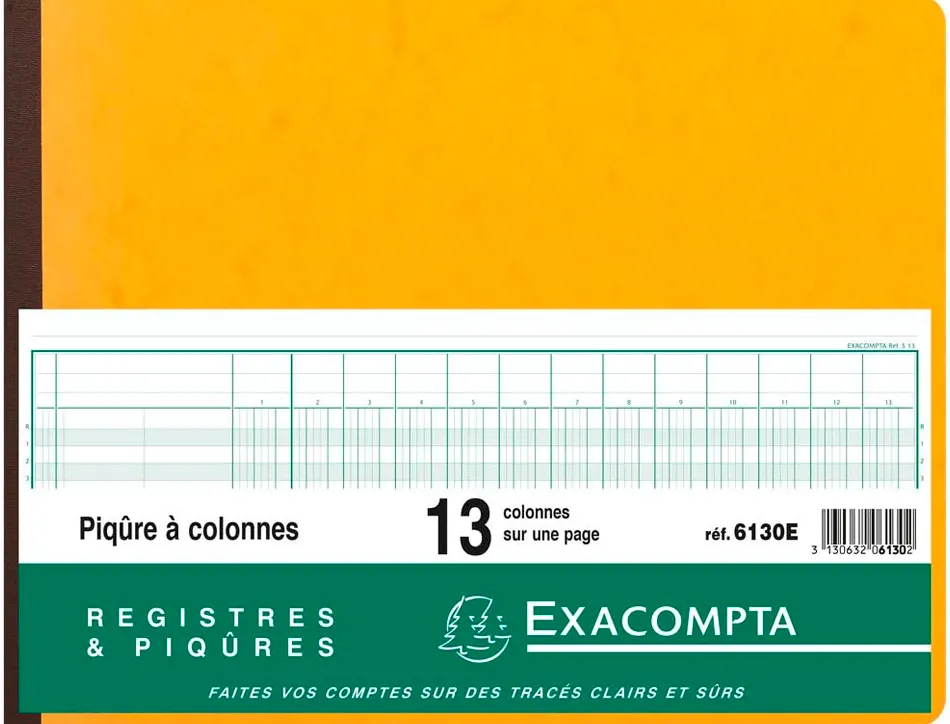 Registre piqûre exacompta colonnes 320x250mm 31 lignes 13 colonnes/page 80 pages