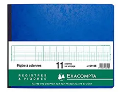Registre piqûre exacompta colonnes 320x250mm 24 lignes 11 colonnes/page 80 pages