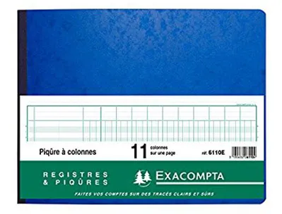 Registre piqûre exacompta colonnes 320x250mm 24 lignes 11 colonnes/page 80 pages