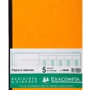 Registre piqûre exacompta colonnes 250x320mm 31 lignes 5 colonnes/page 80 pages