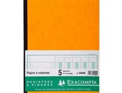 Registre piqûre exacompta colonnes 250x320mm 31 lignes 5 colonnes/page 80 pages
