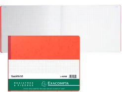 Registre piqué exacompta 5x5mm folioté 32x25cm 80 pages coloris assortis