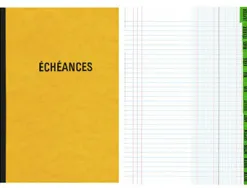 Registre standard elve piqué a4 210x297mm échéancier 100 pages