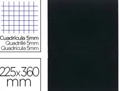 Registre standard exacompta 250x320mm 5x5mm folioté vertical 200 pages