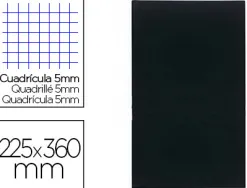 Registre standard exacompta 225x360mm 5x5mm folioté vertical 200 pages