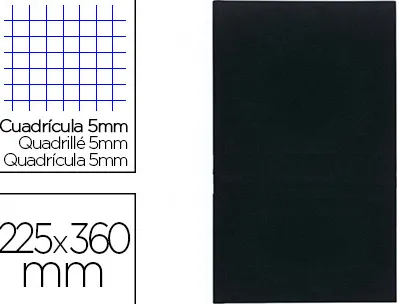 Registre standard exacompta 225x360mm 5x5mm folioté vertical 200 pages