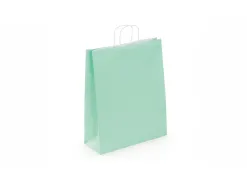 Sac kraft 100g/m2 poignees torsadees 35x14x40cm paquet 50 unites coloris vert eau