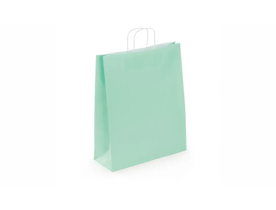 Sac kraft 100g/m2 poignees torsadees 35x14x40cm paquet 50 unites coloris vert eau