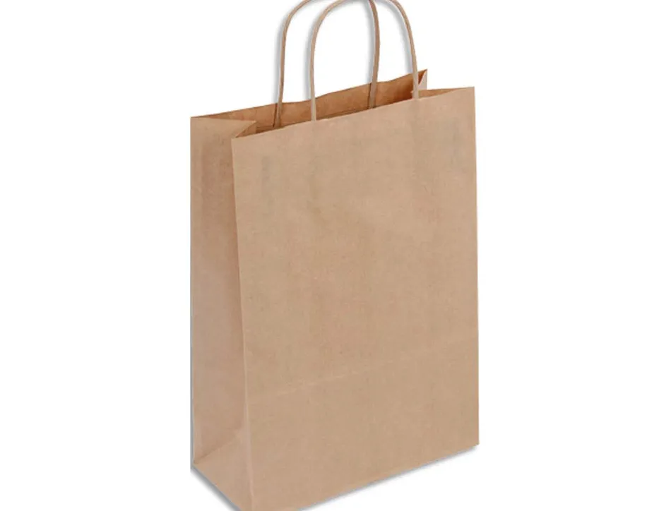 Sac kraft 100g/m2 poignees torsadees 32x12x44cm paquet 50 unites coloris brun