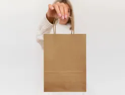 Sac papier q-connect cellulose naturel l anse torsadee 320x400x14mm