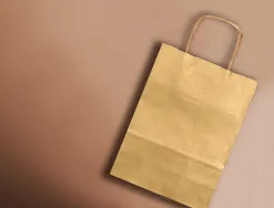 Sac papier q-connect kraft l anse torsadee 320x400x14mm coloris or