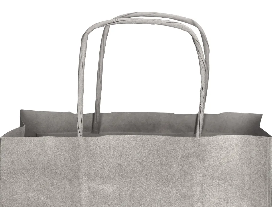 Sac papier q-connect kraft lisse xs anse torsadee 180x240x80mm coloris argent