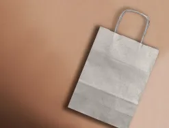 Sac papier q-connect kraft lisse xs anse torsadee 180x240x80mm coloris argent