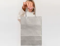 Sac papier q-connect kraft lisse xs anse torsadee 180x240x80mm coloris argent
