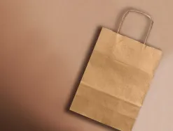 Sac papier q-connect kraft naturel lisse xs anse torsadee 180x240x80mm
