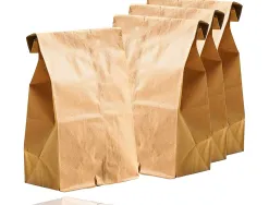 Sachet alimentaire kraft brun 70g/m2 biodegradable 19x35x6cm lot de 100