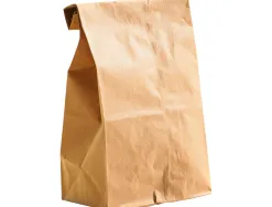 Sachet alimentaire kraft brun 70g/m2 biodegradable 19x35x6cm lot de 100