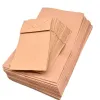 Sachet alimentaire kraft brun 70g/m2 biodegradable 24x42x6cm lot de 100