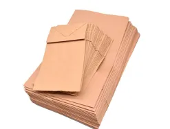 Sachet alimentaire kraft brun 70g/m2 biodegradable 24x42x6cm lot de 100