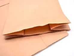 Sachet alimentaire kraft brun 70g/m2 biodegradable 24x42x6cm lot de 100