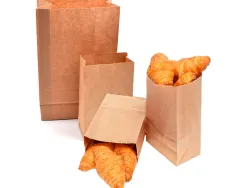 Sachet alimentaire kraft brun 70g/m2 biodegradable 24x42x6cm lot de 100