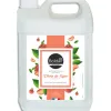 Savon liquide boldair glycérine parfum pêche de vigne bidon 5 l