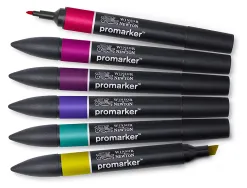 Set de 6 promarker winsor & newton ton riches