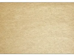 Set table exacompta papier 30x40cm coloris kraft barquette 500 unites