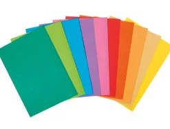 Sous-chemise exacompta rock's 220x310mm 80g coloris assortis pack 100 unités
