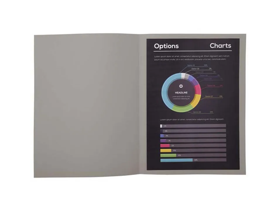Sous-chemise exacompta rock's 220x310mm 80g coloris gris pack 100 unités