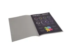 Sous-chemise exacompta rock's 220x310mm 80g coloris gris pack 100 unités