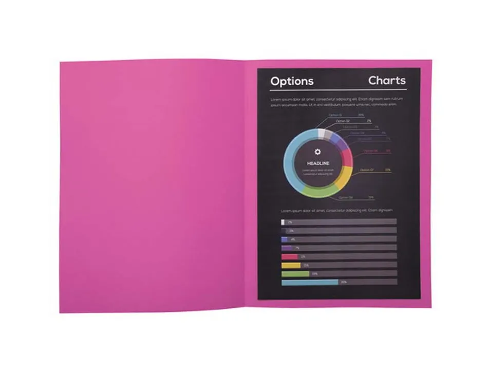 Sous-chemise exacompta rock's 220x310mm 80g coloris rose pack 100 unités