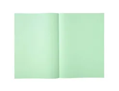 Sous-chemise exacompta super 220x310mm 60g coloris vert clair pack 250 unités
