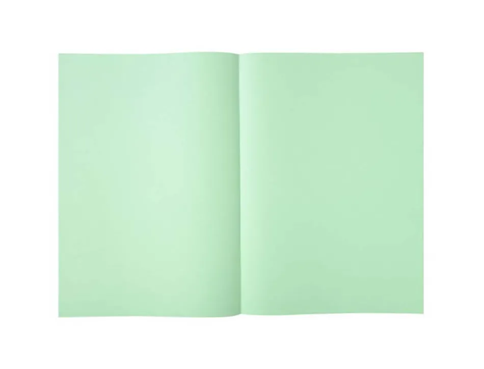 Sous-chemise exacompta super 220x310mm 60g coloris vert clair pack 250 unités