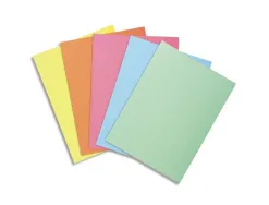 Sous-chemises exacompta super 60 carte 60g coloris assortis pastel paquet 100 unites