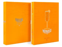 Stylo-bille belius cocktails mimosa aluminium encre bleue relief orange argente boite design