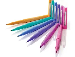 Stylo-feutre paper mate flair original pointe moyenne 1 mm longue durée de vie pochette 6 coloris tropical