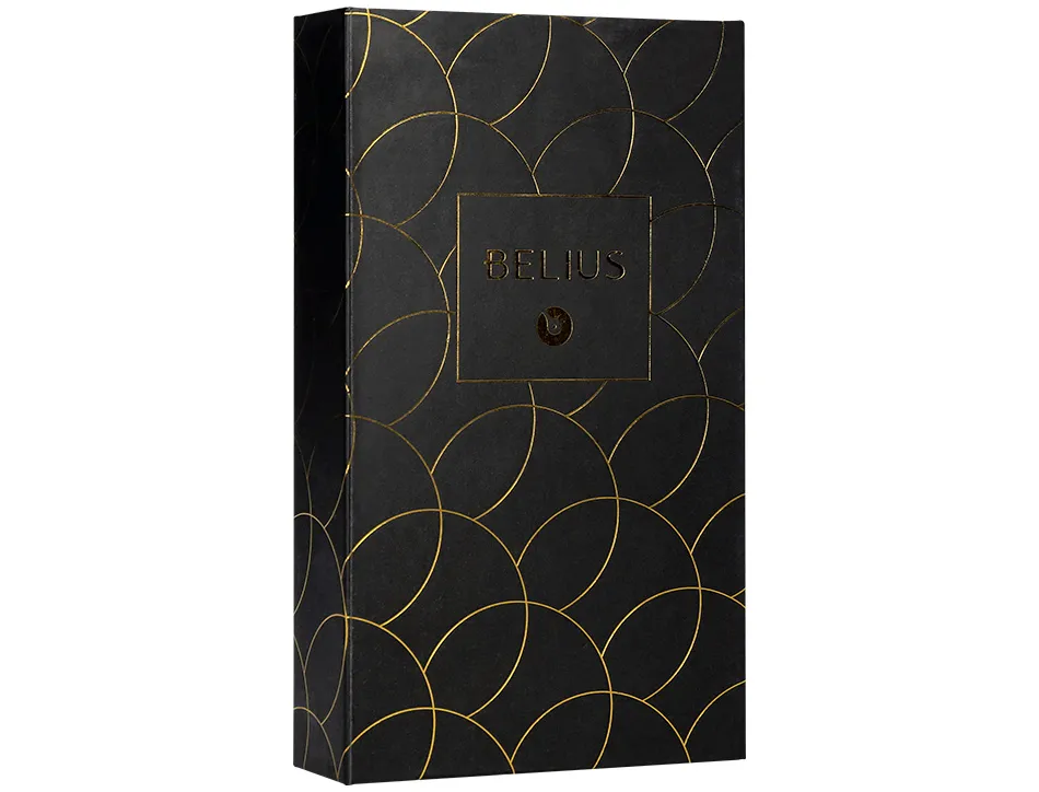 Stylo-plume et etui en simili cuir belius passion aluminium brosse attributs or encre bleue coloris noir coffret cadeau