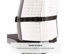 Support lombaire fellowes plush touch