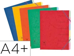 Trieur coutal carte qualite superieure a+ 24,5x31,5cm 12 positions fermeture elastique coloris assortis