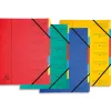 Trieur exacompta carte lustrée 355g a4+ 245x322mm dos agrafé 7 compartiments couverture imprimée 4 coloris assortis