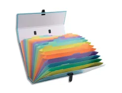 Trieur exacompta familial a poignee aquarel assortie 18 compartiments