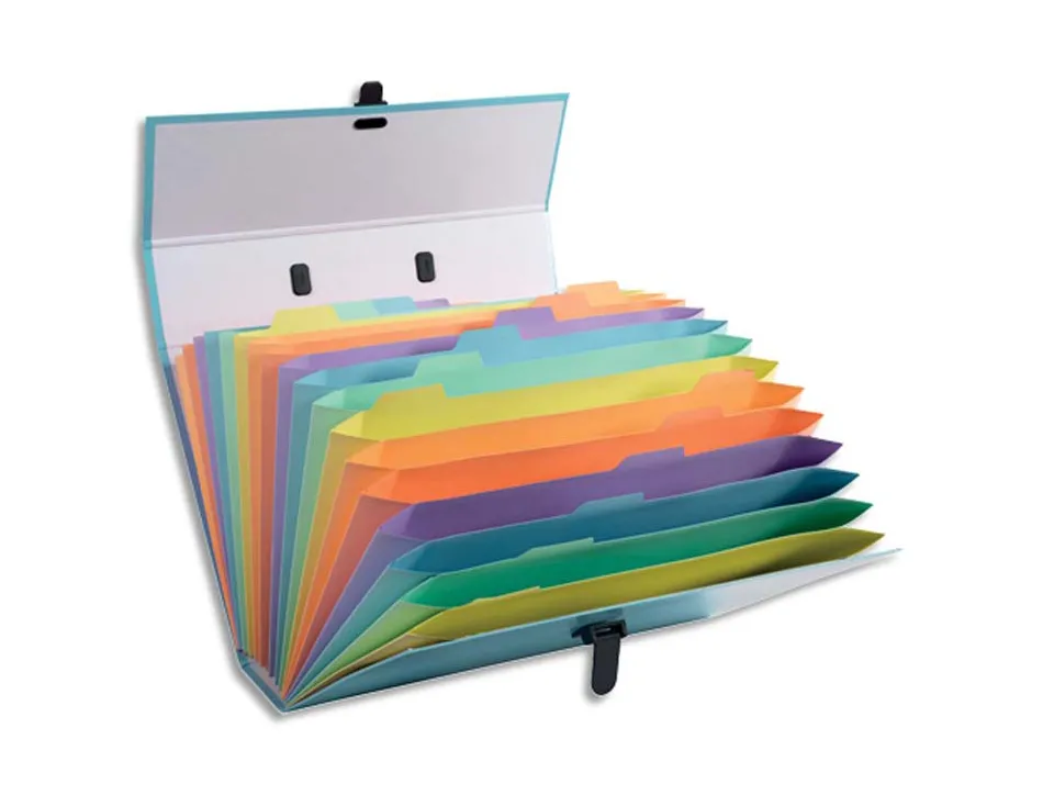 Trieur exacompta familial a poignee aquarel assortie 18 compartiments