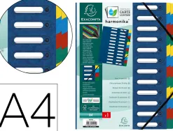 Trieur exacompta harmonika carte lustrée 24 compartiments fenêtres dos extensible onglets multicolores coloris assortis