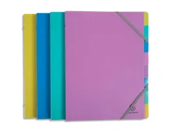 Trieur exacompta polypropylene 3 rabats forever young 8 compartiments