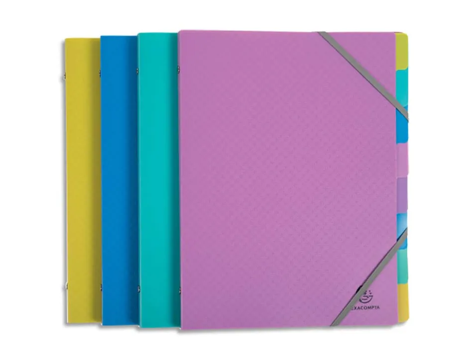 Trieur exacompta polypropylene 3 rabats forever young 8 compartiments