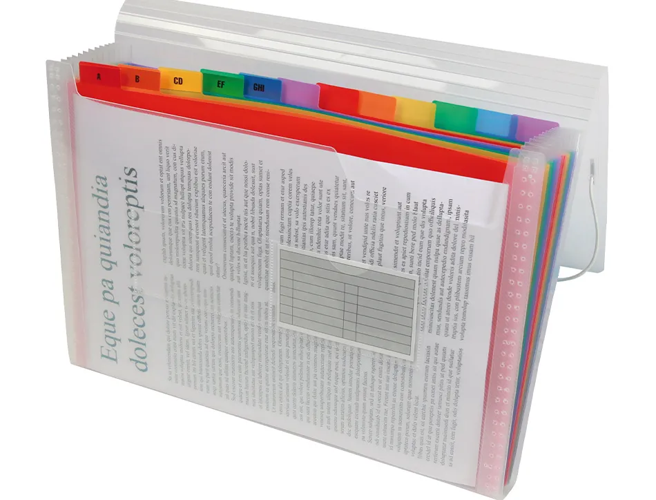 Trieur liderpapel série spectrafile pp 700 microns a5 148x210mm 13 compartiments couleur coloris frosty transparent