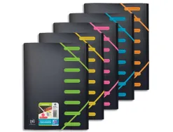Trieur student oxford polypropylene opaque 8 positions fermeture elastique coloris assortis